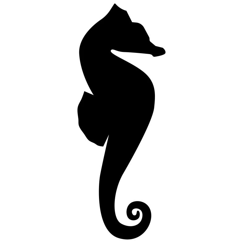hippocampe