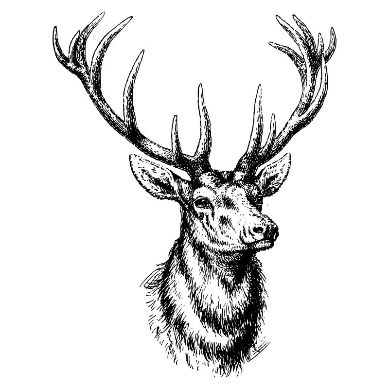 Wildtiere
