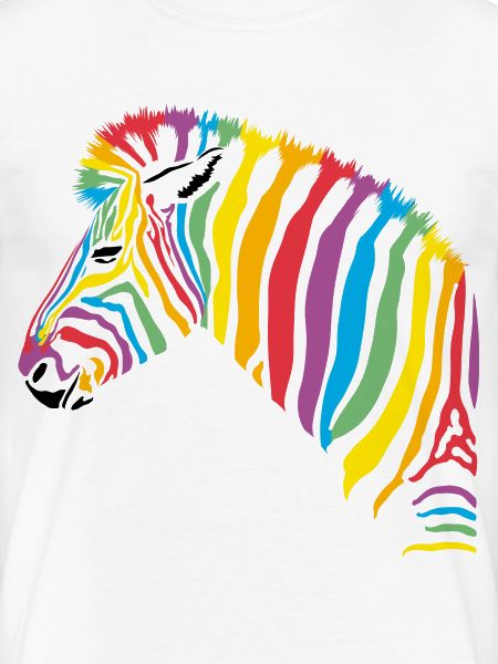 rainbow zebra