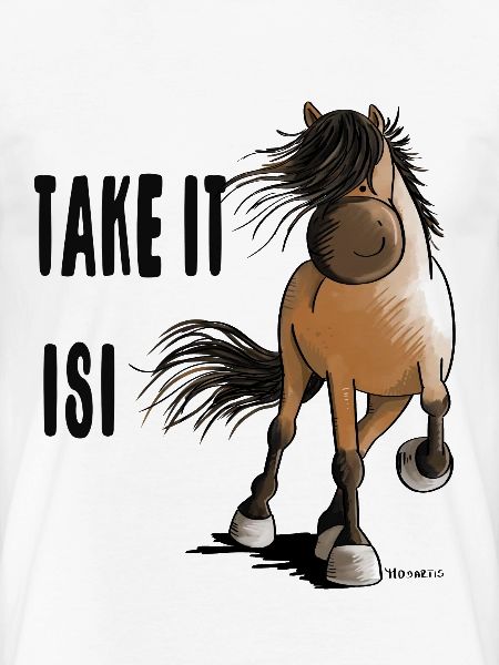 Take It Isi