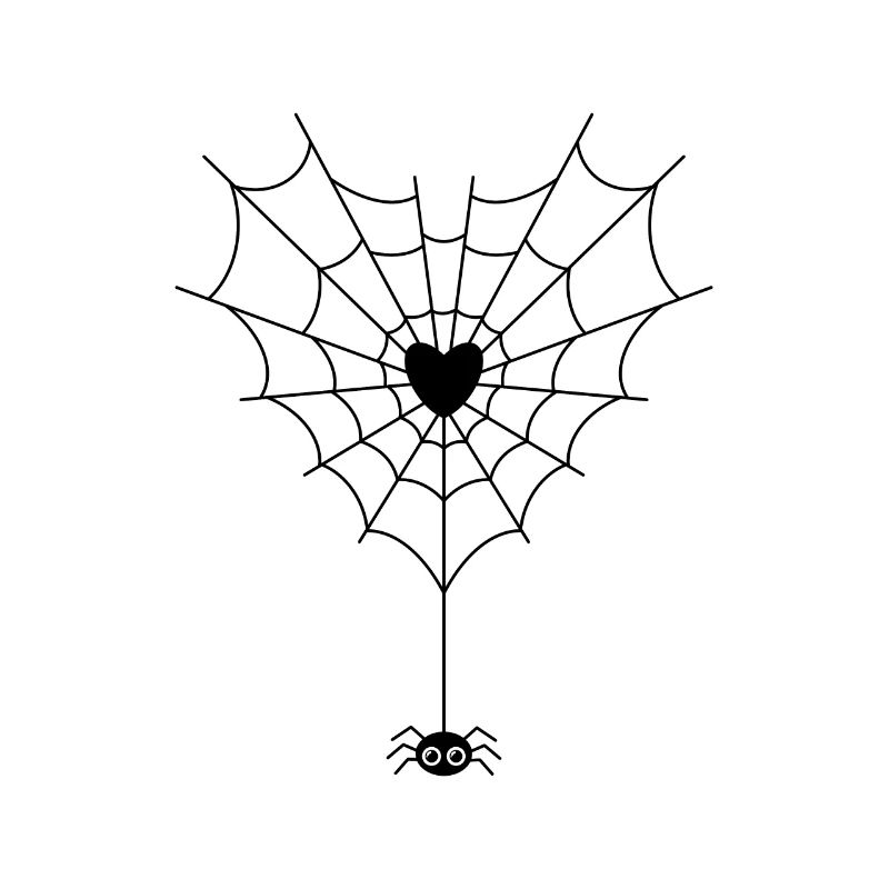 Spider in spider web