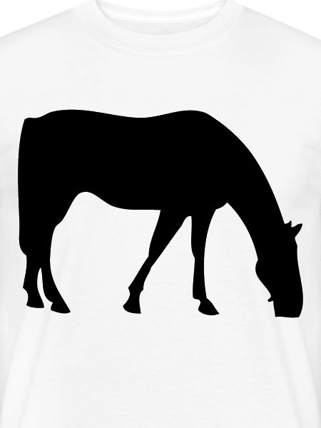 Pferd