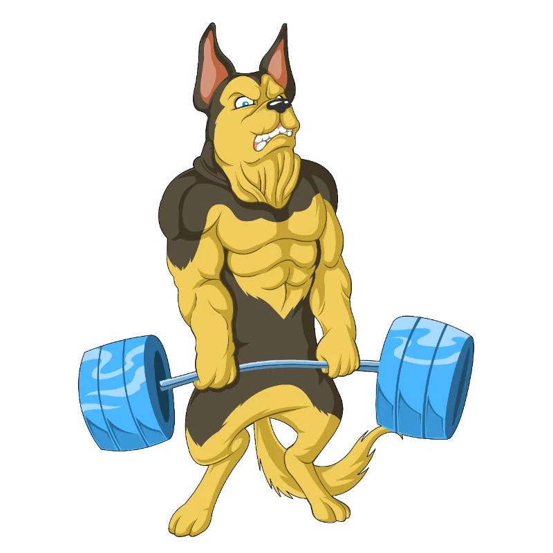 Deutscher Schäferhund Gewichtheben