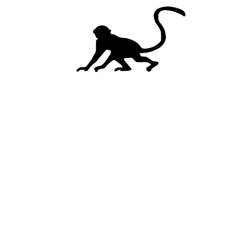 Monkey black and white monkey shadow on chest