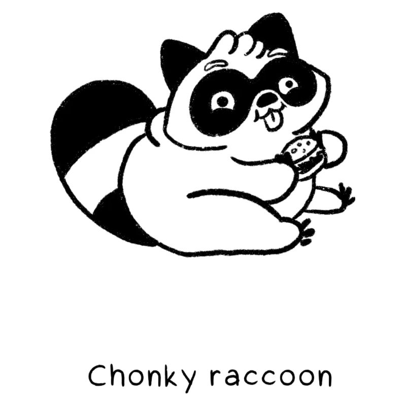 Types de ratons laveurs | Raton laveur Chonky