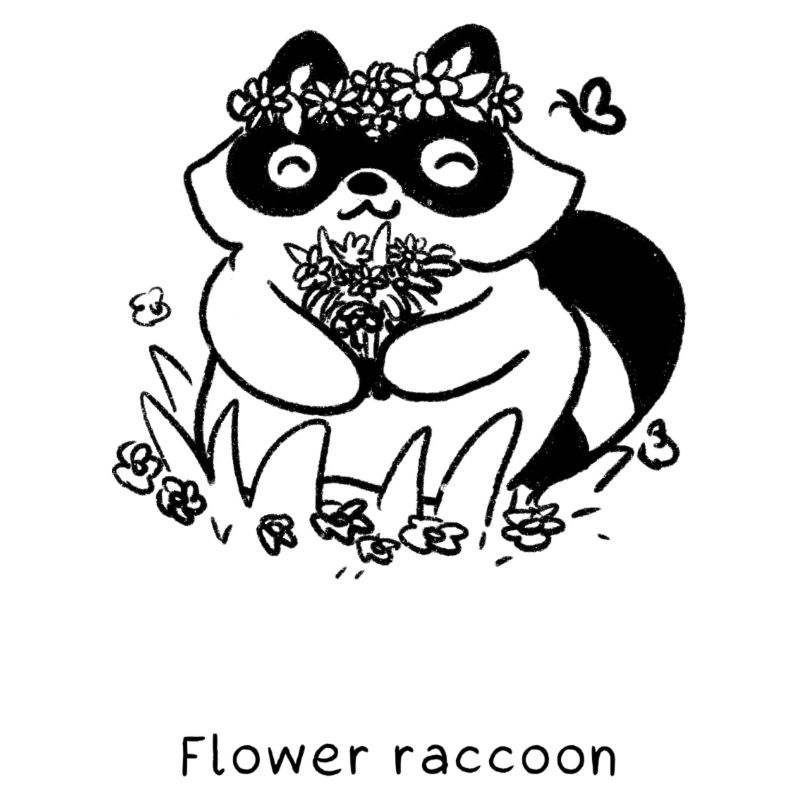 Types de ratons laveurs | Raton laveur fleuri