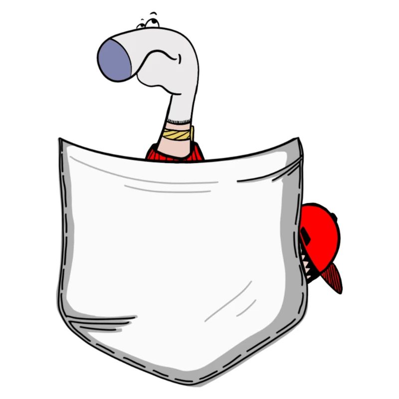 Pocket Socket Boy