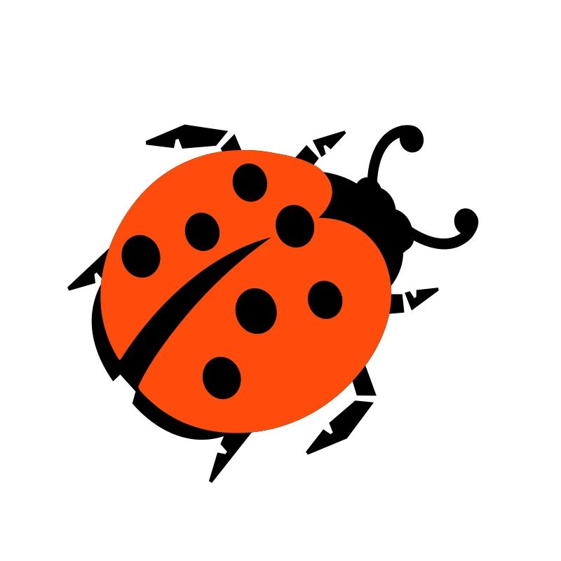ladybug - marienkaefer