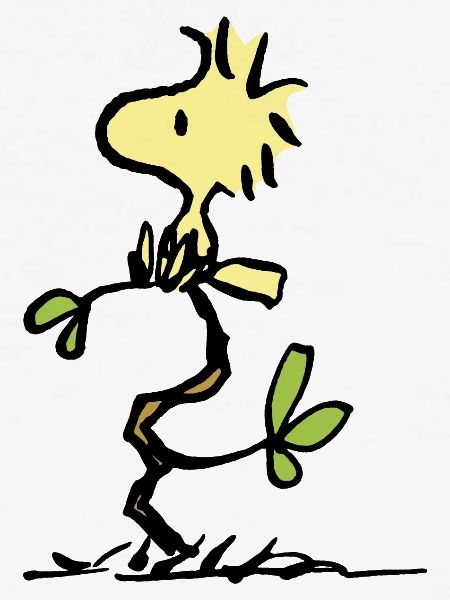 Peanuts Woodstock motivo del petto