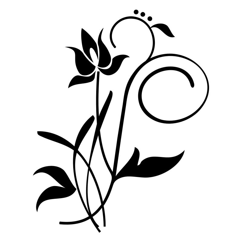 Orchidee / orchid (2c)