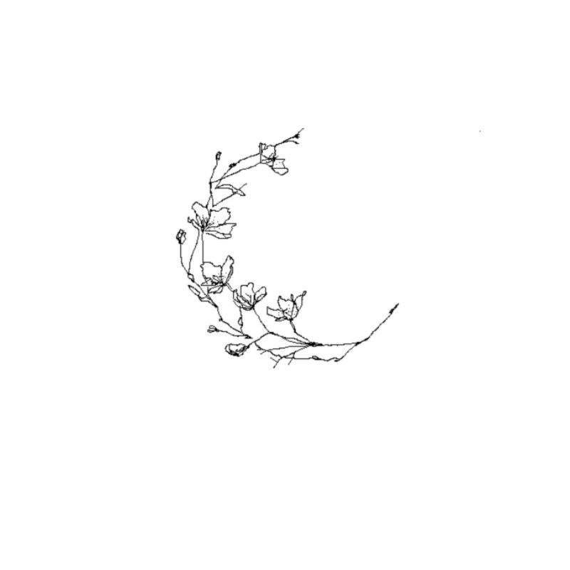 Fleurs de lune / Fleur de lune