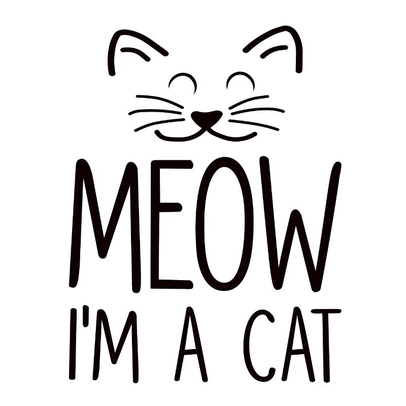 Chat chat visage chat dame chat cadeau