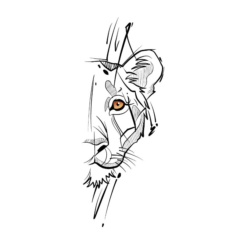 Lioness sketchy