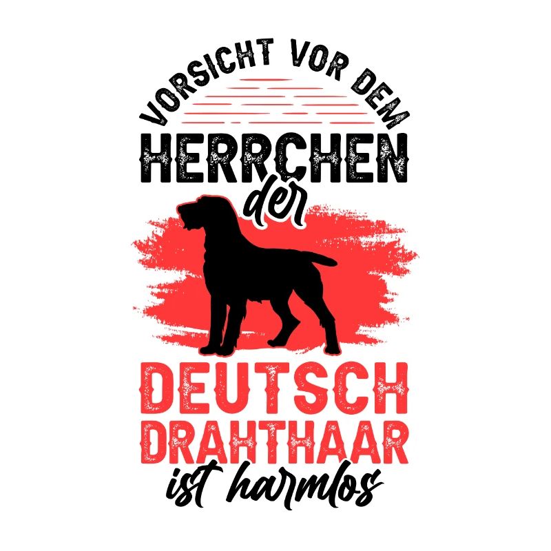Deutsch Drahthaar Herrchen Jagdhund
