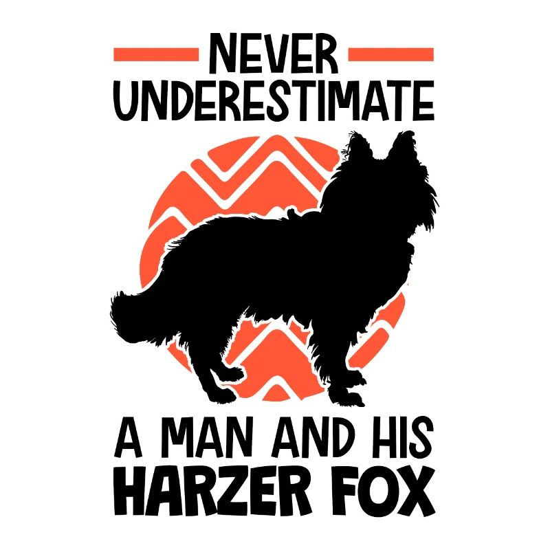 Do not underestimate Harzer Fuchs herding dog