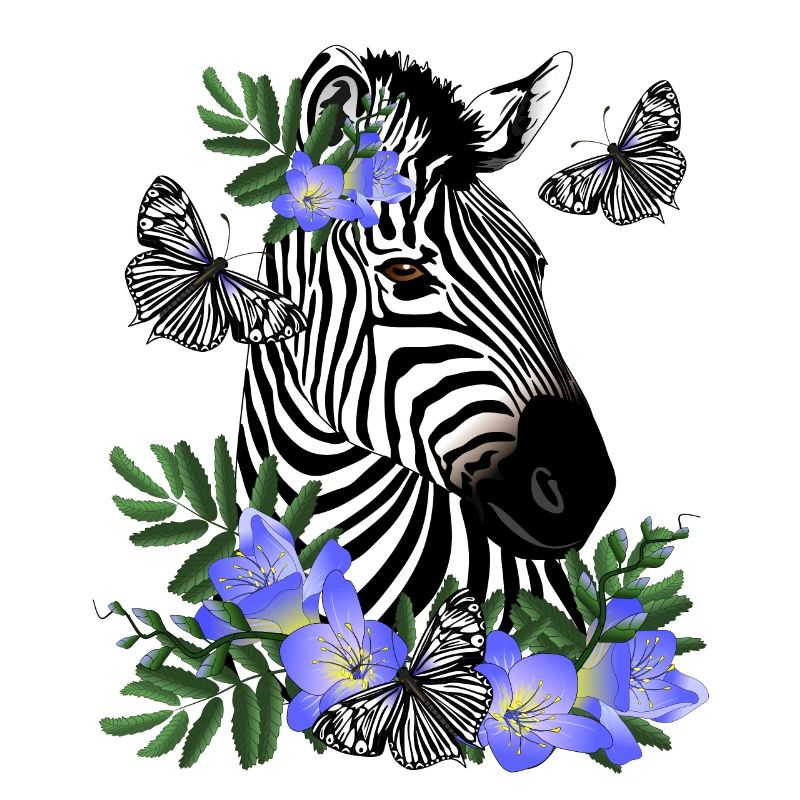 Zebra
