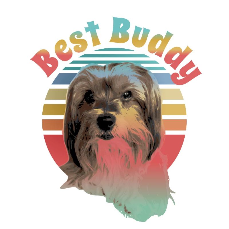 Biewer Terrier , bester Freund