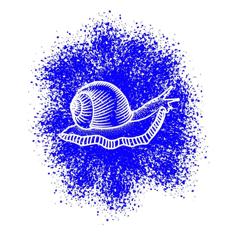 Snail with snail shell