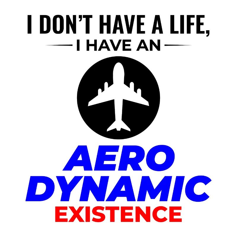 Aerospace Engineer Flight Mechanics Plane Airplane