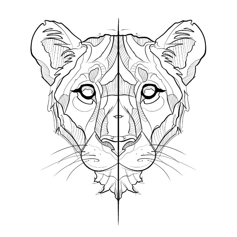 Lion's head sketch
