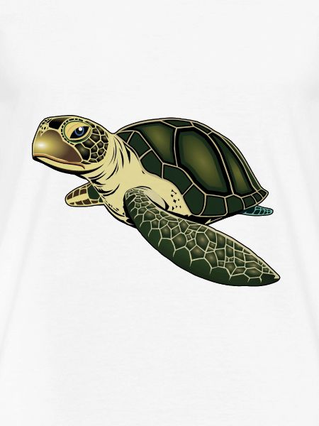 Turtle