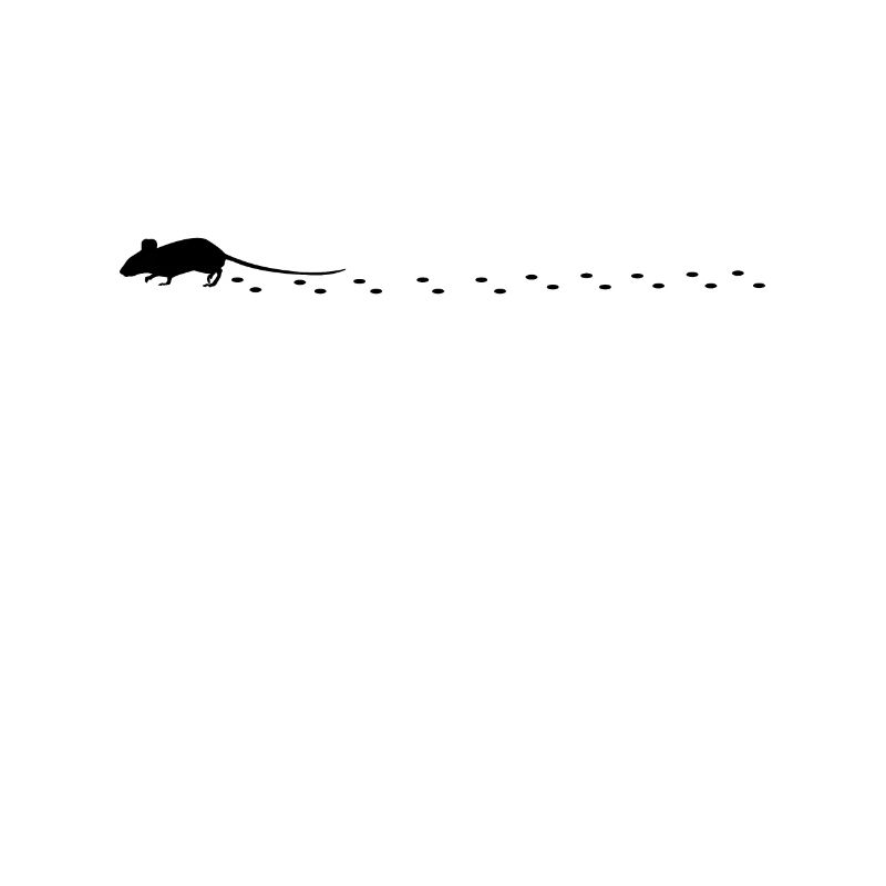 Mouse trail, mouse trails