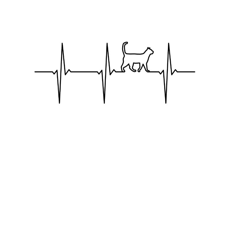 ECG de chat