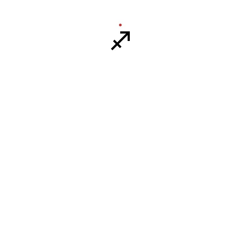 Sternzeichen und Element Schütze Sagittarius Feue
