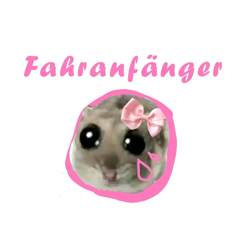 fahranfänger,hamster,fahrschule