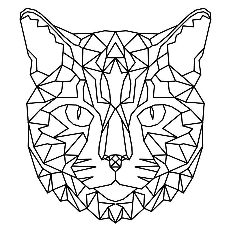 Chat géométrique