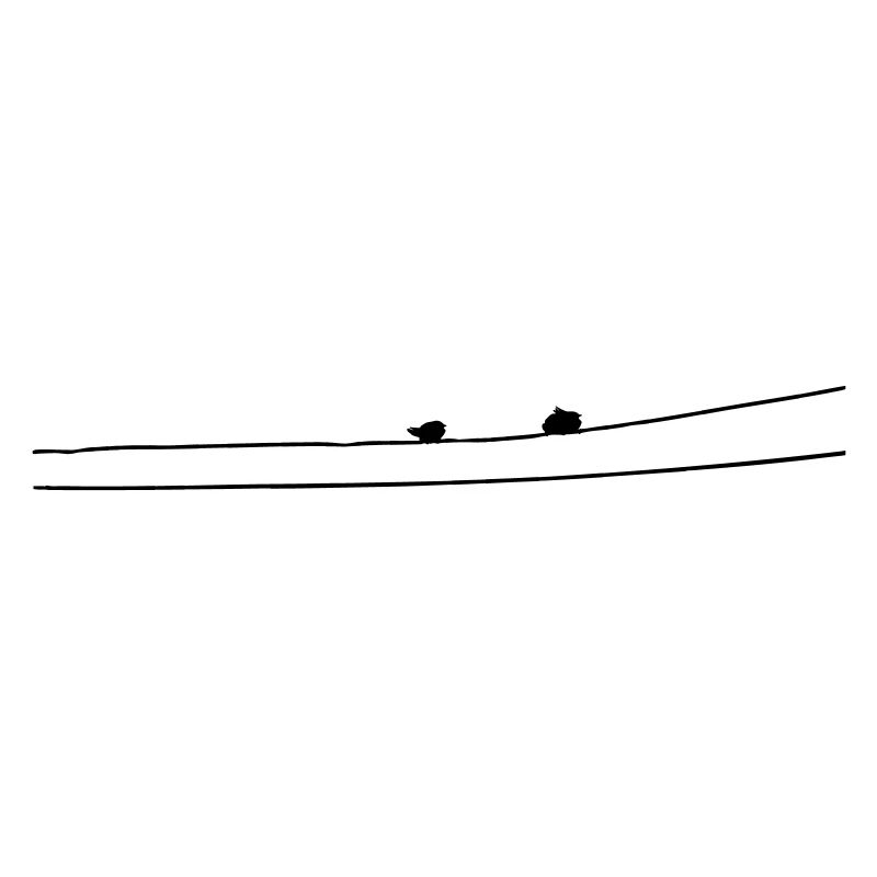 Oiseaux