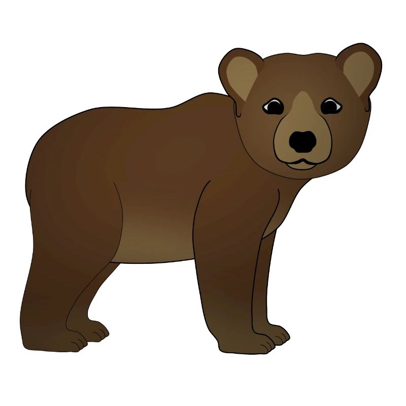 Peuplements de bébé ours brun