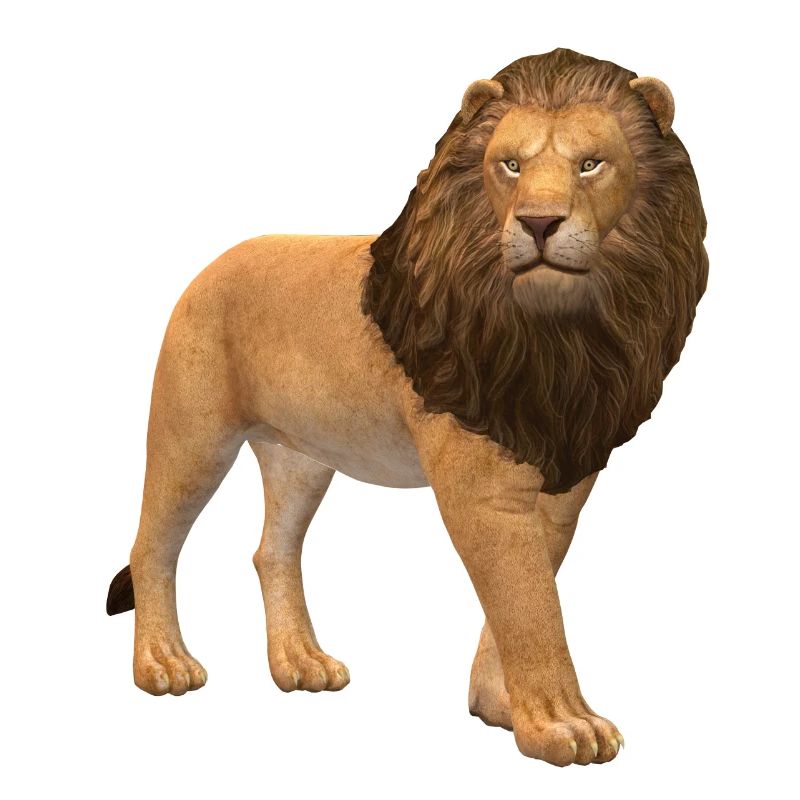 Lion 3D