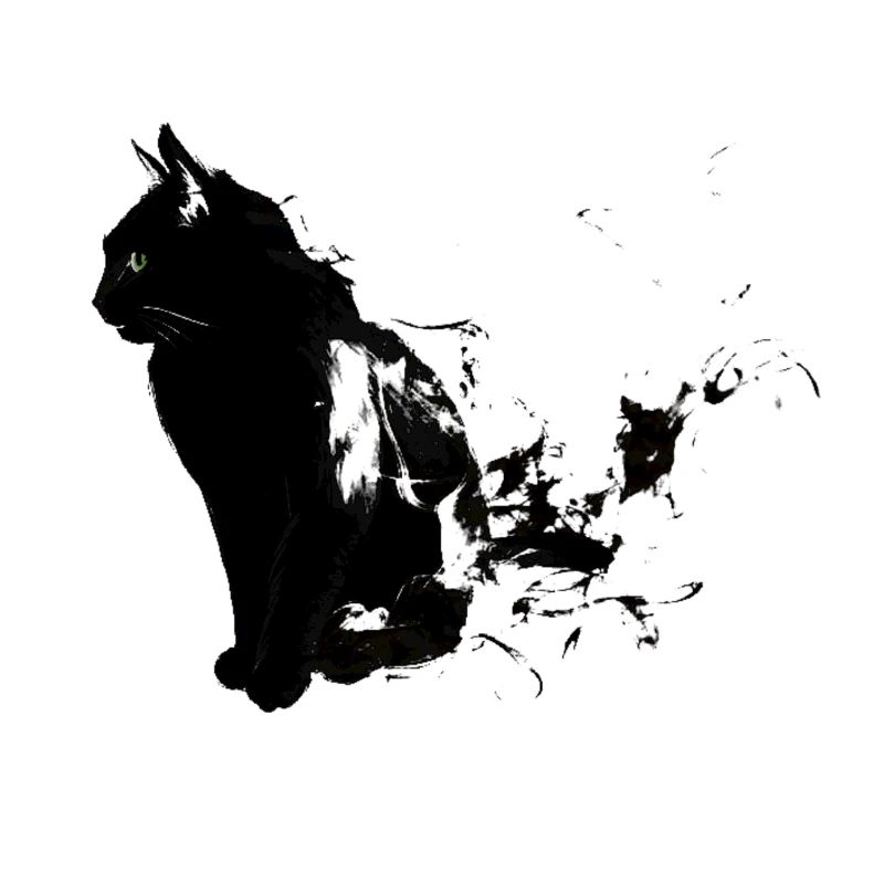 Cat smoke (gift idea, gift, idea)