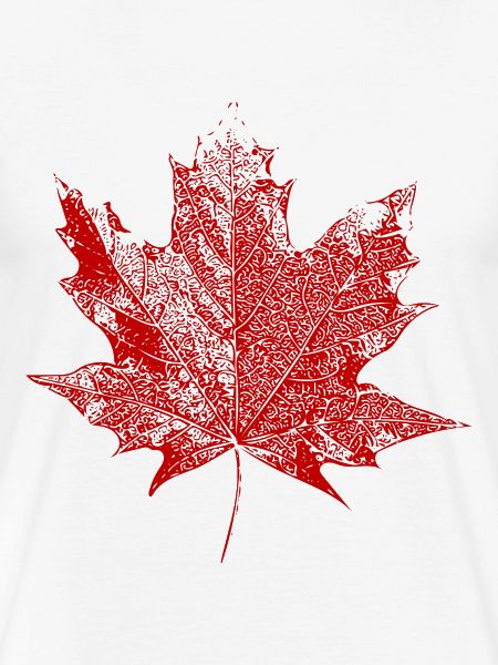 Maple leaf