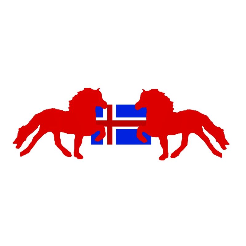 Isländer mit Flagge