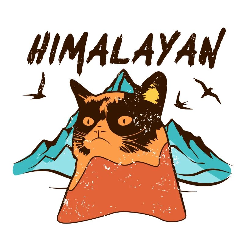Himalayan Cat