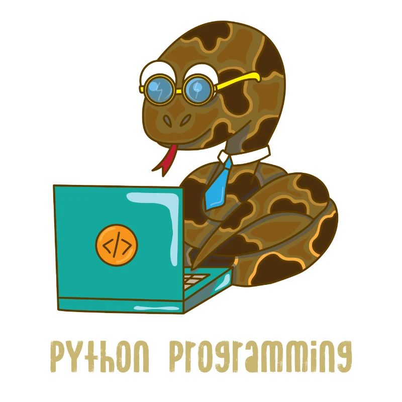 PYTHON PROGRAMMING
