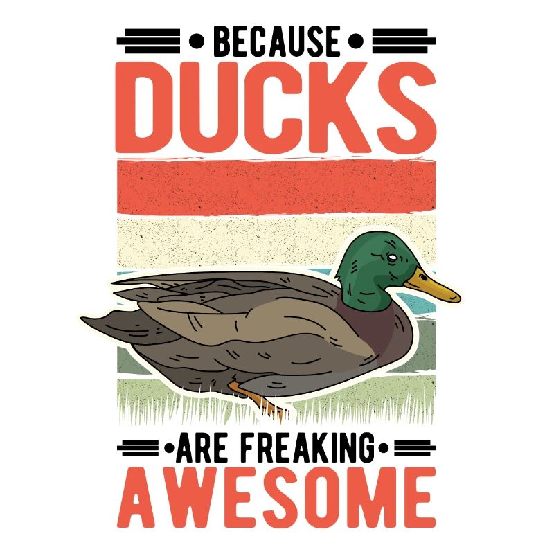 Duck Gift Duck Breeder