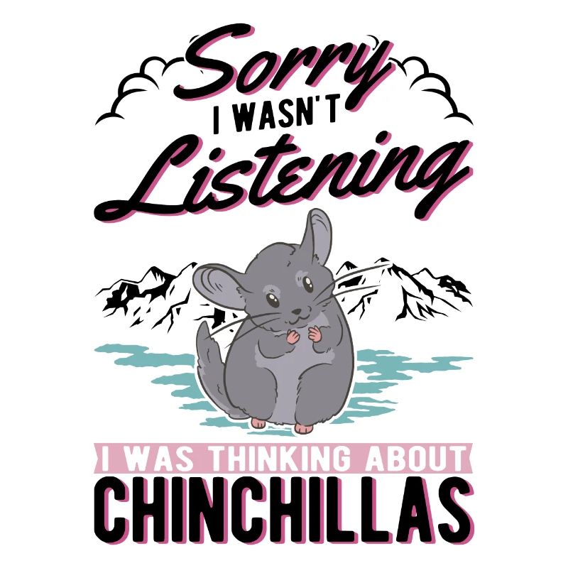 Chinchilla Cadeau Souris Laineuse Chinchilla à queue courte