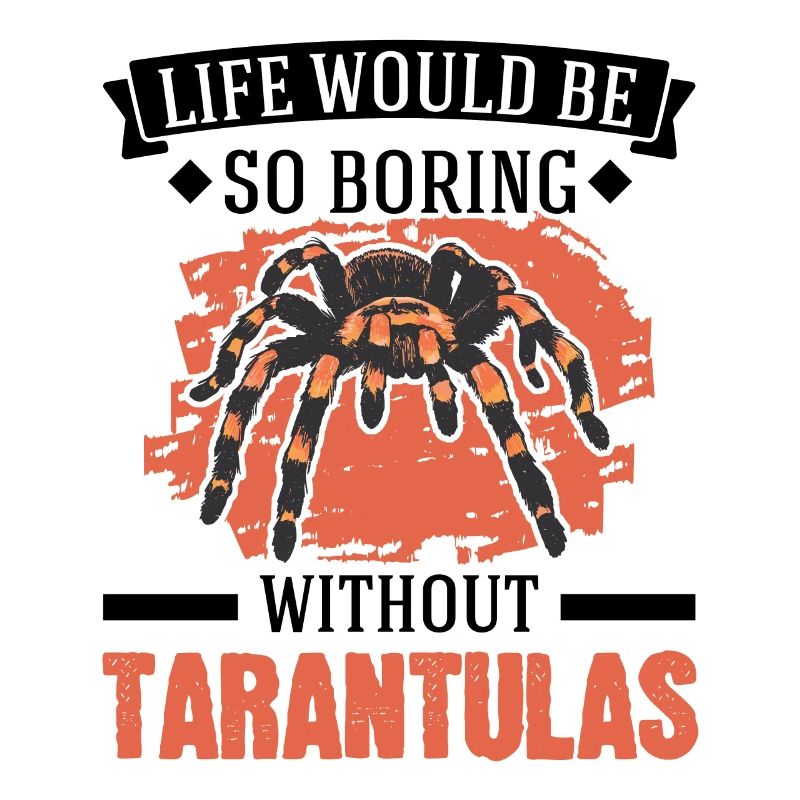 Tarantula Gift Spider Tarantula