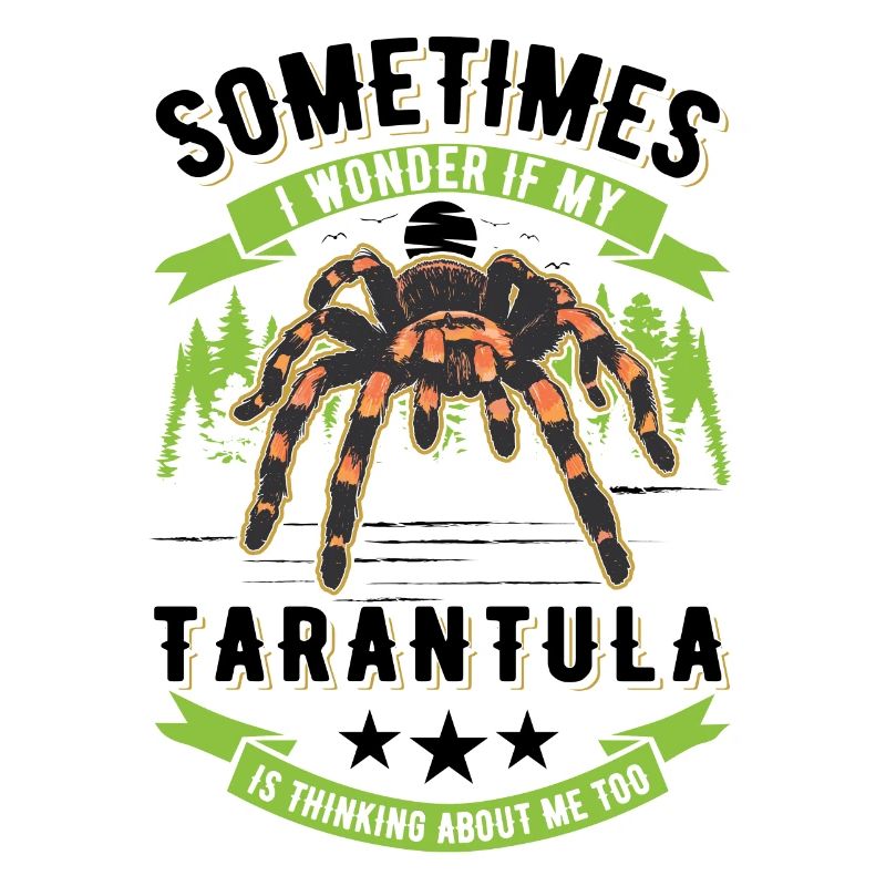 Tarantula Spider Tarantula