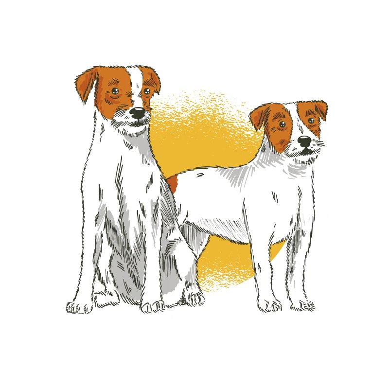 Parson Russell Terrier