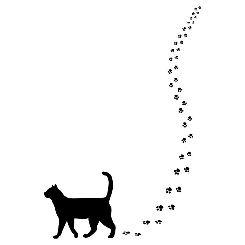 Chat Chat Chat Kitty Patte Patte