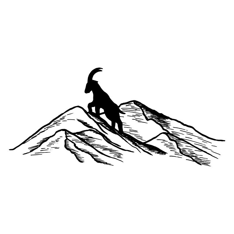 alpine ibex on mountain -