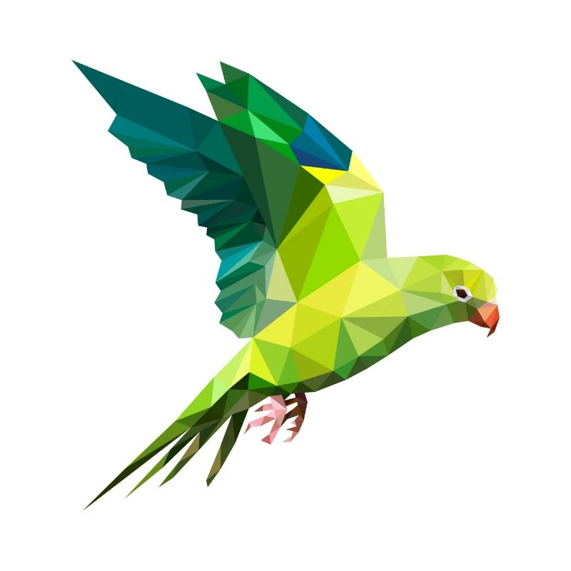 Perroquets perruche polygone oiseau art