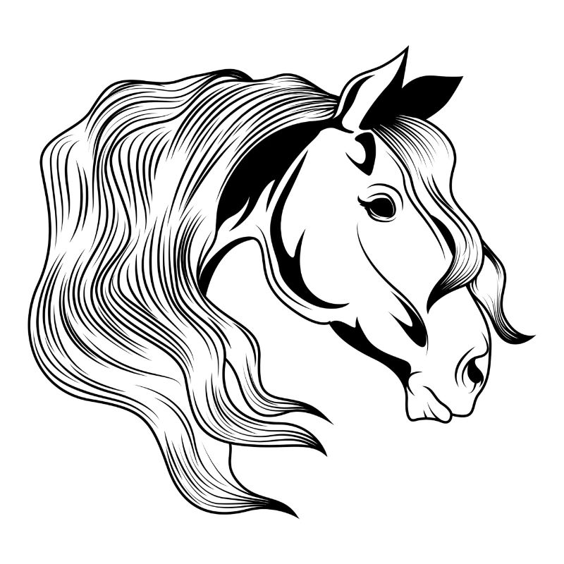 pferd kopf reiten