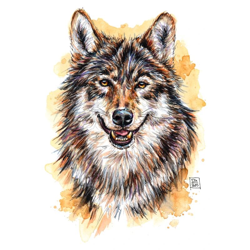 Wolf