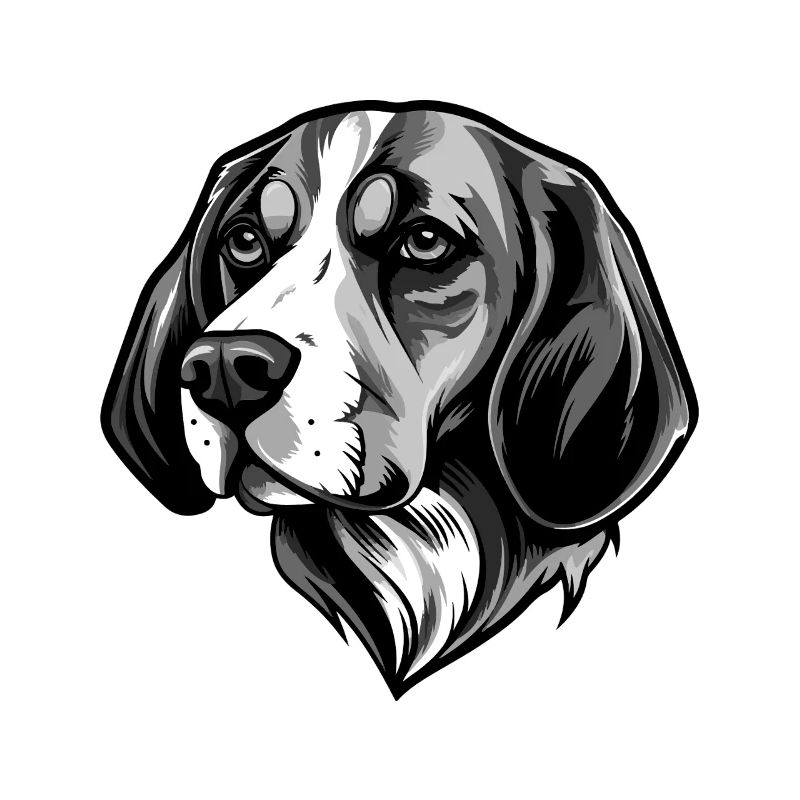 Tête de chien Beagle