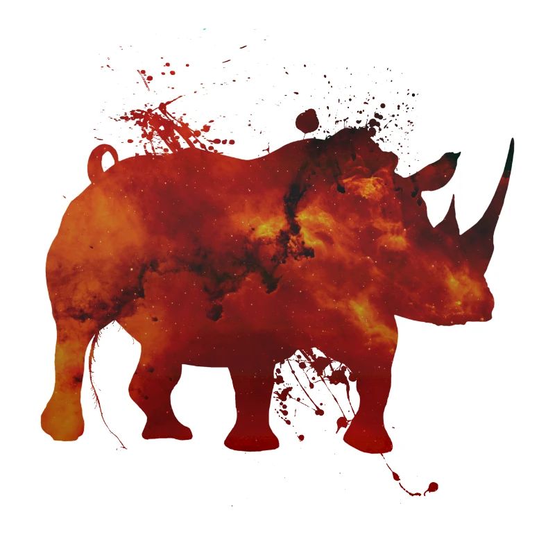 Space Nashorn
